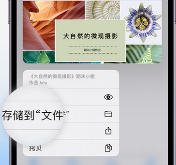 怀仁apple维修中心分享iPhone文件应用中存储和找到下载文件