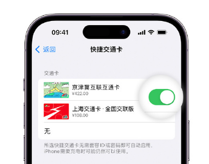 怀仁apple维修点分享iPhone上更换Apple Pay快捷交通卡手绘卡面 