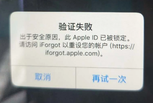 怀仁iPhone维修分享iPhone上正常登录或使用AppleID怎么办 