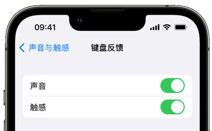 怀仁苹果手机维修分享iPhone 14触感键盘使用方法 