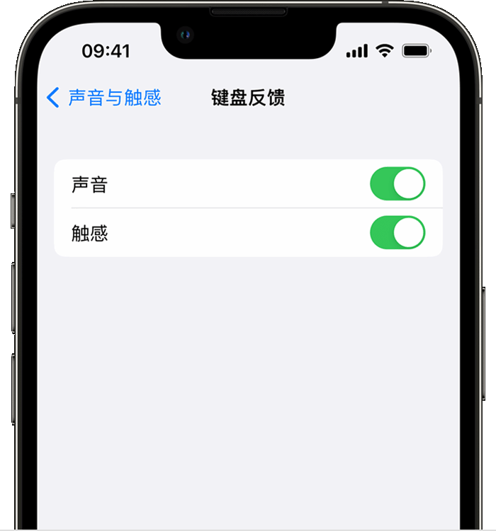 怀仁苹果14维修店分享如何在 iPhone 14 机型中使用触感键盘 