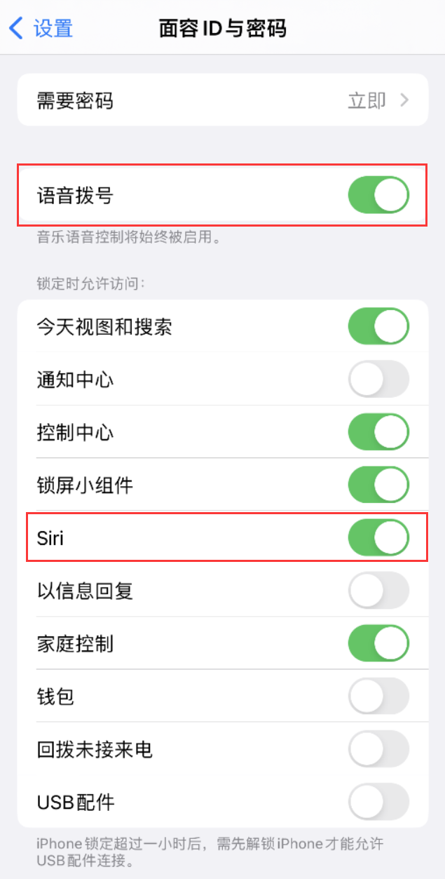 怀仁苹果维修网点分享不解锁 iPhone 的情况下通过 Siri 拨打电话的方法 