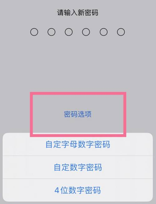 怀仁苹果14维修分享iPhone 14plus设置密码的方法 