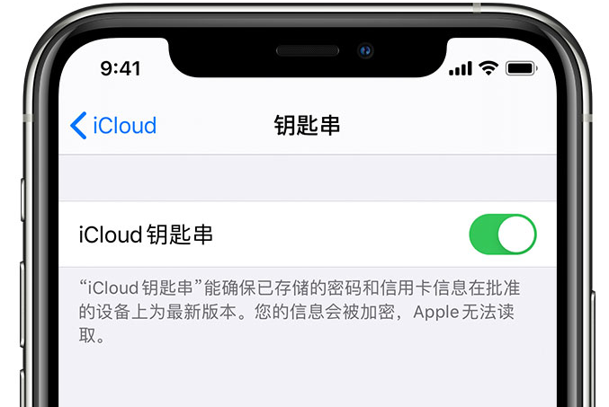 怀仁苹果手机维修分享在 iPhone 上开启 iCloud 钥匙串之后会储存哪些信息 