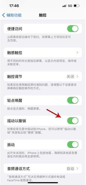 怀仁苹果手机维修分享iPhone手机如何设置摇一摇删除文字 